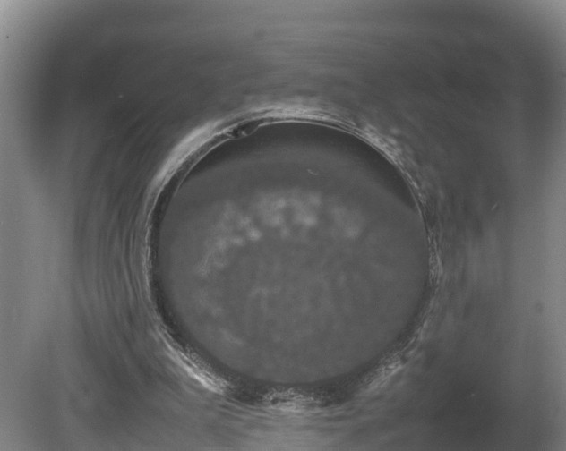 X0000080730199200612221301