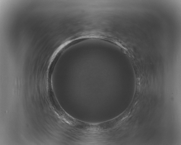 X0000080730200200612221301