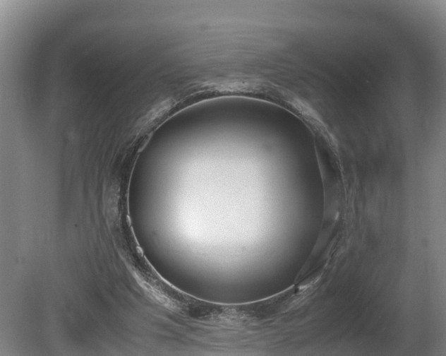 X0000080730201200612221301