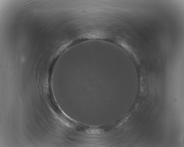 X0000080730202200612221301