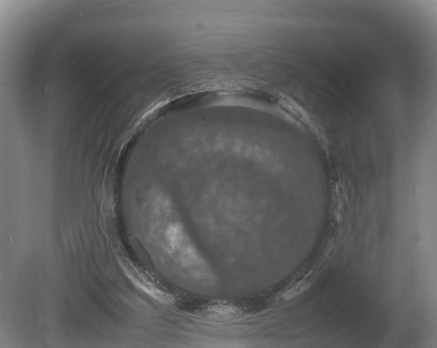 X0000080730203200612221301