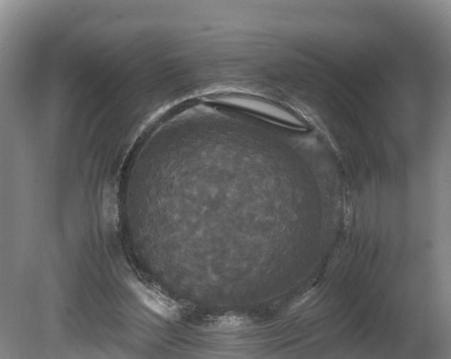 X0000080730204200612221301