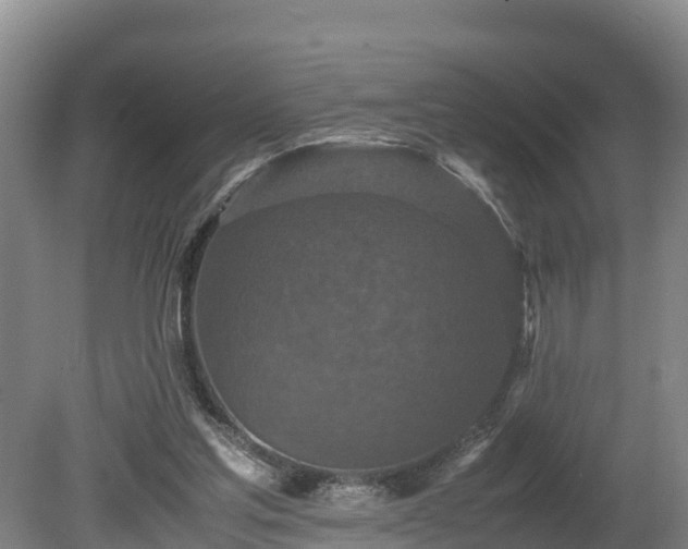 X0000080730205200612221301