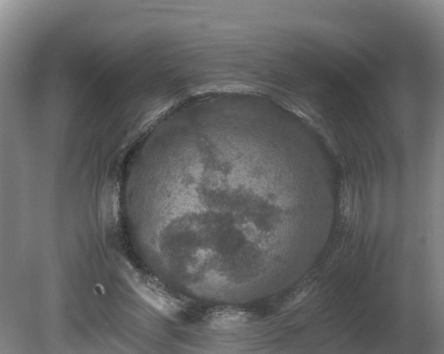 X0000080730206200612221301