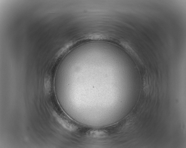 X0000080730208200612221301