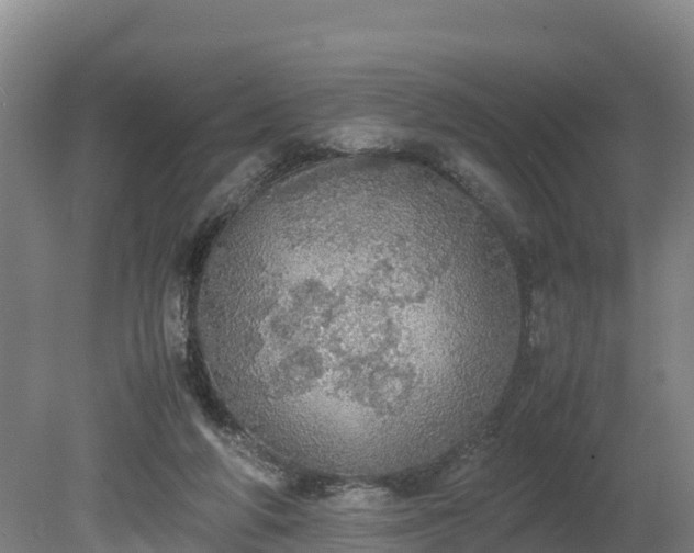 X0000080730210200612221301