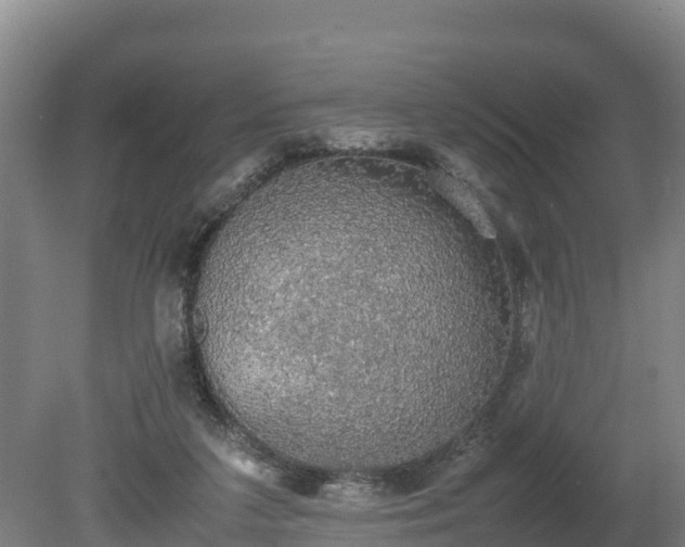 X0000080730211200612221301