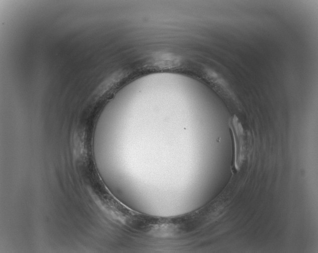 X0000080730212200612221301