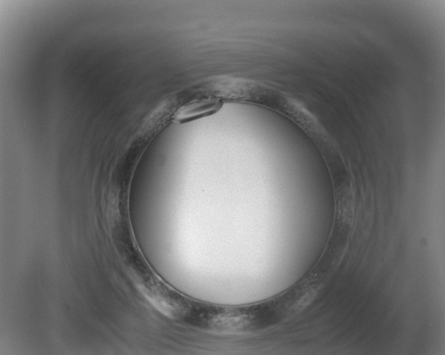 X0000080730213200612221301