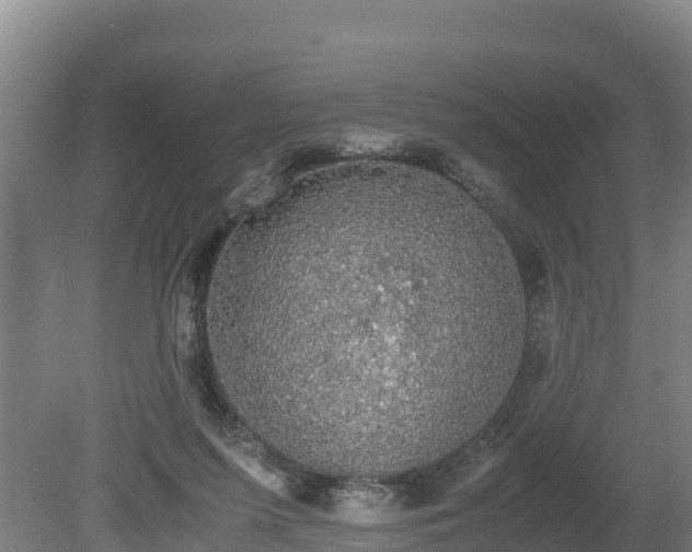 X0000080730215200612221301