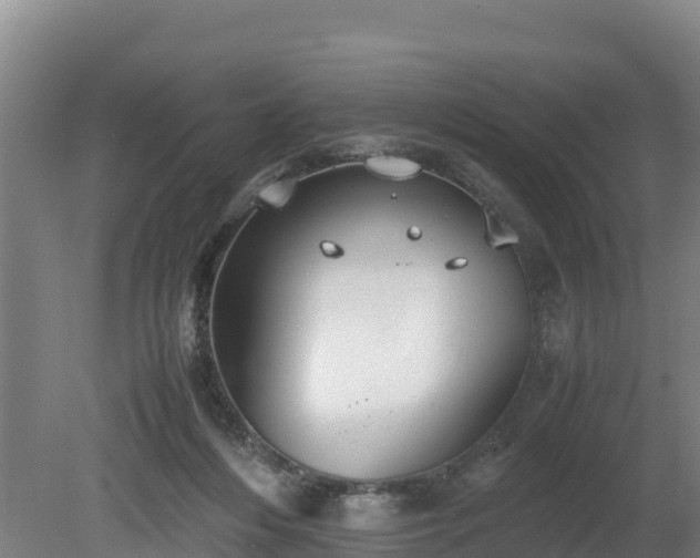 X0000080730216200612221301