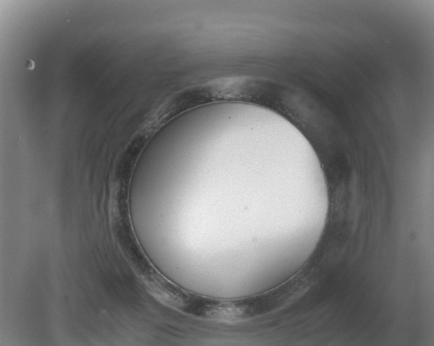 X0000080730217200612221301