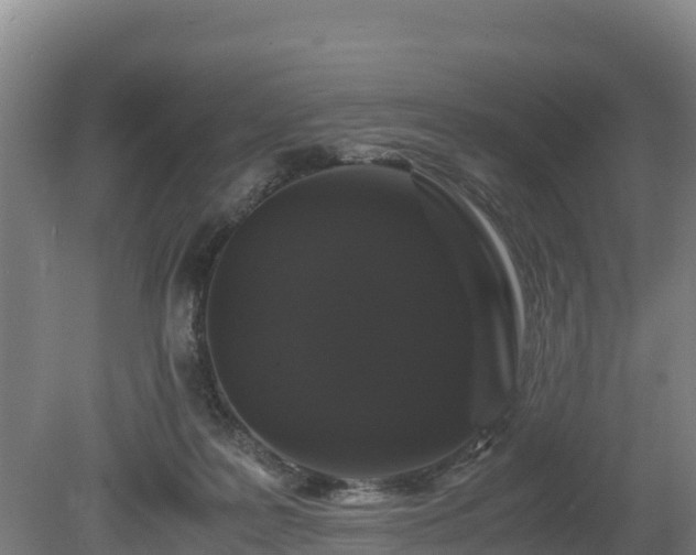 X0000080730219200612221301