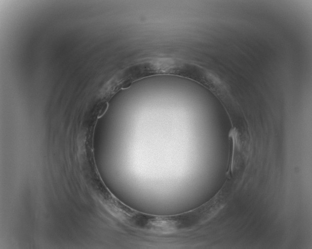 X0000080730221200612221301