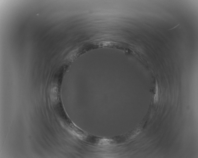 X0000080730222200612221301