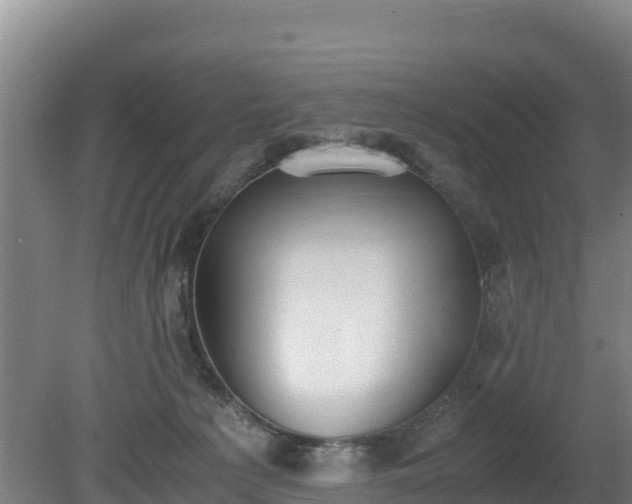 X0000080730225200612221301