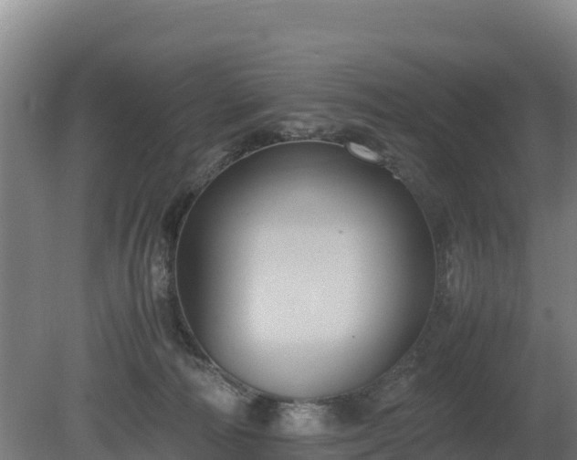 X0000080730226200612221301