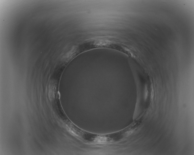 X0000080730227200612221301