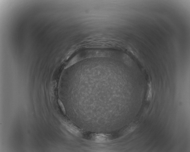 X0000080730229200612221301