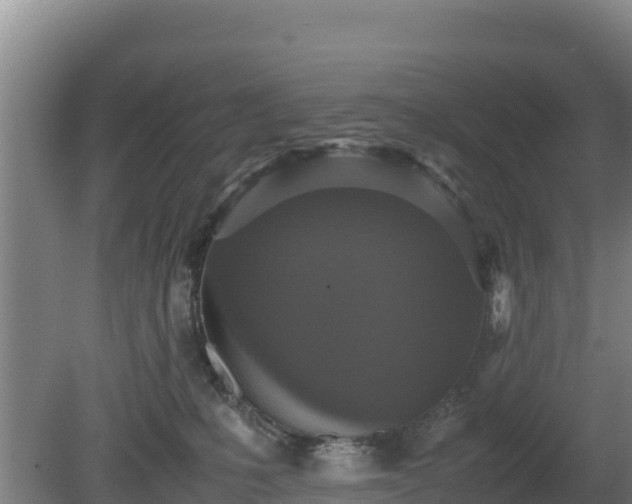 X0000080730231200612221301