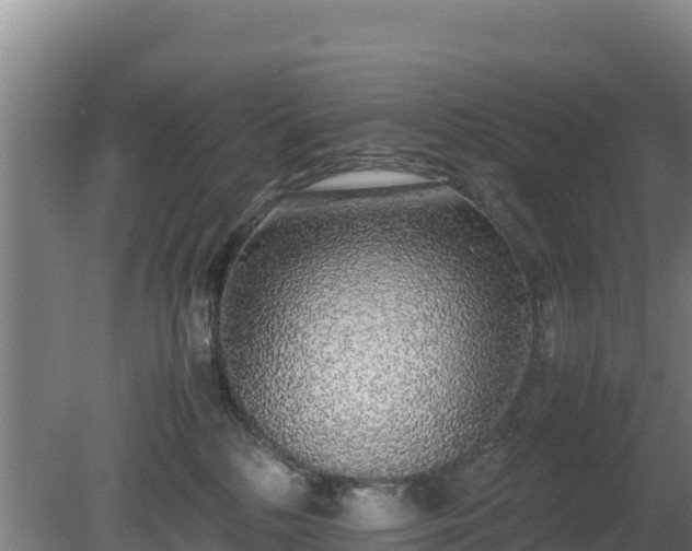 X0000080730232200612221301