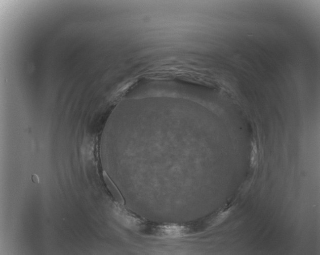 X0000080730233200612221301