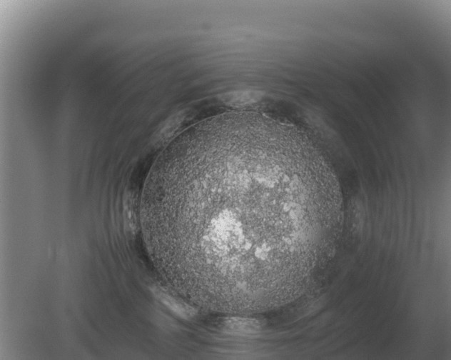 X0000080730234200612221301