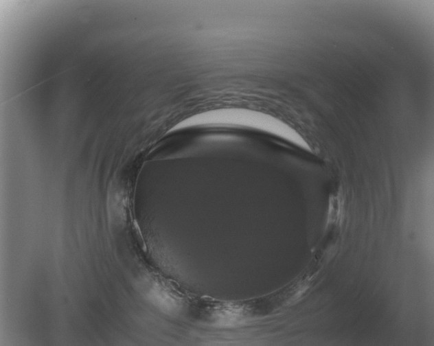 X0000080730235200612221301