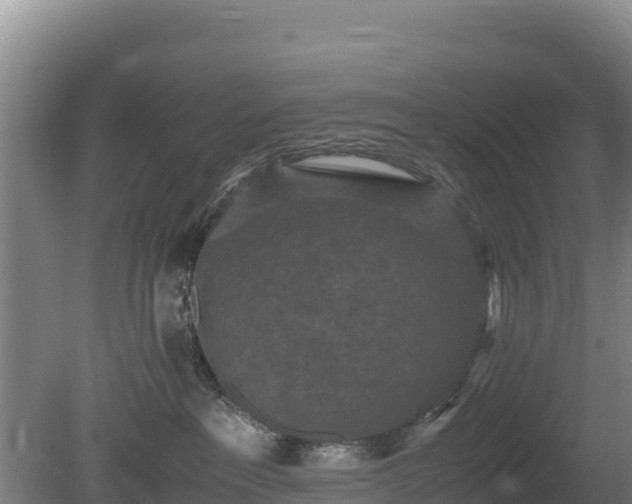 X0000080730237200612221301