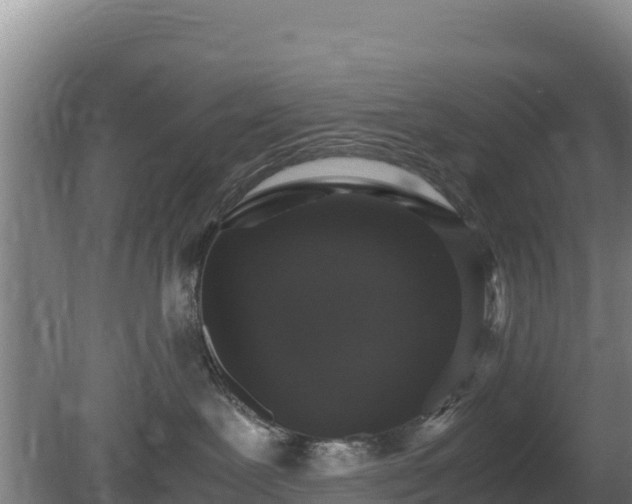 X0000080730239200612221301