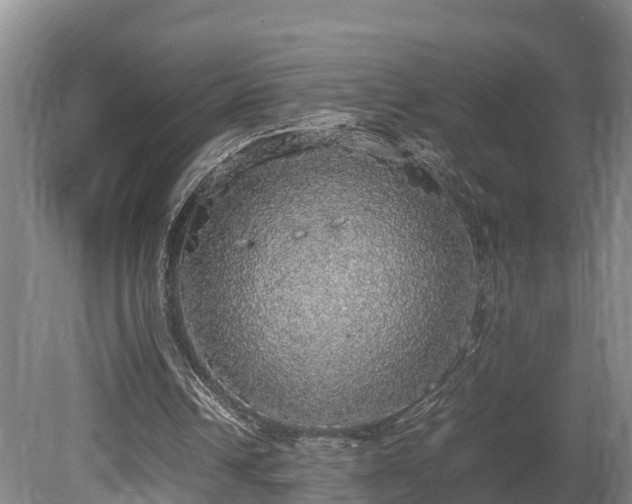 X0000080730242200612221300