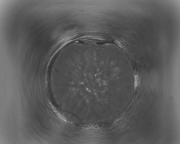 X0000080730243200612221300