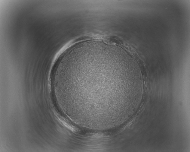 X0000080730246200612221300