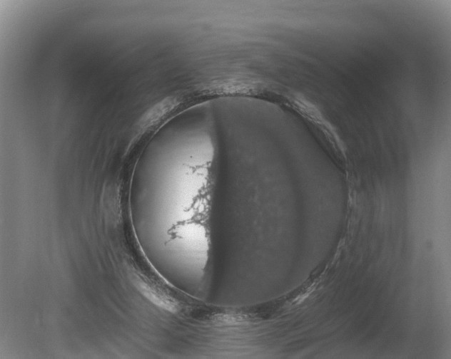 X0000080730250200612221300