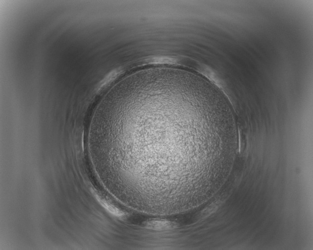 X0000080730253200612221300