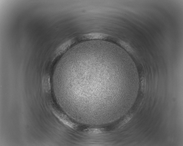 X0000080730254200612221300