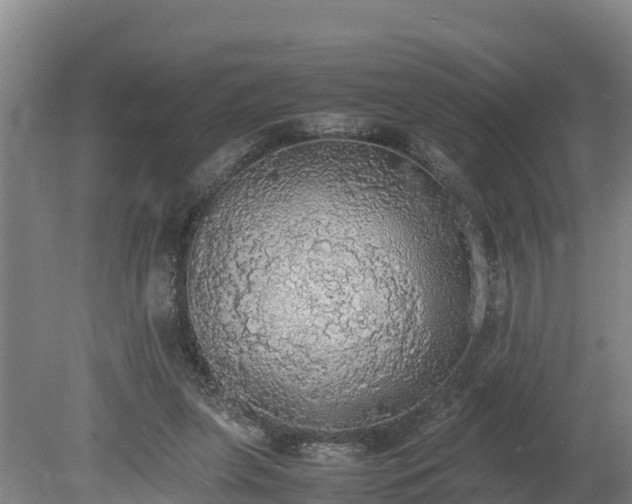 X0000080730255200612221300