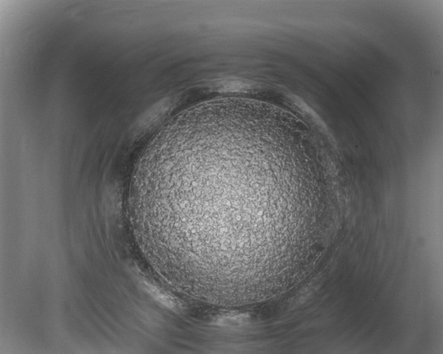 X0000080730257200612221300