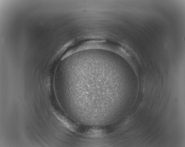 X0000080730260200612221300