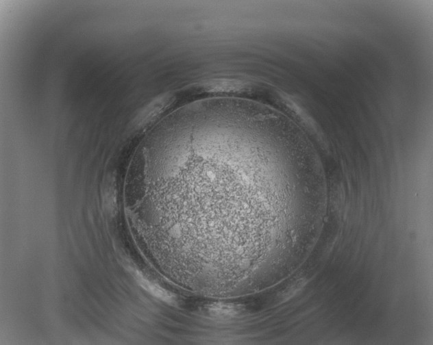 X0000080730261200612221300