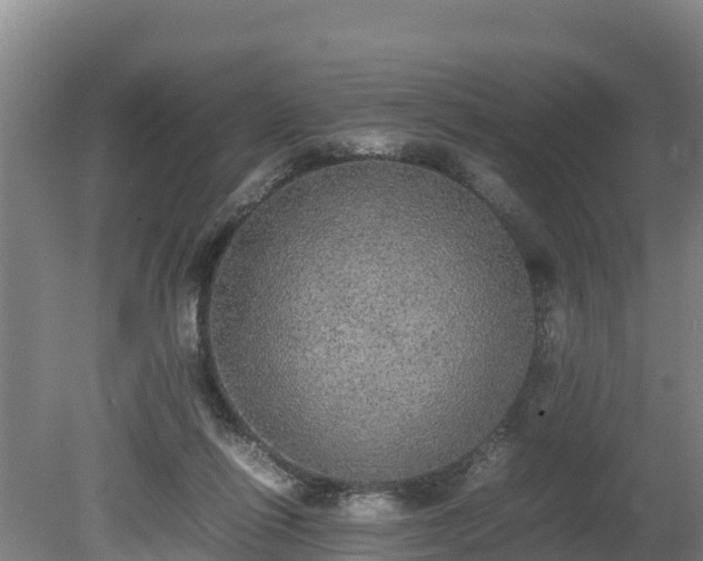 X0000080730262200612221300