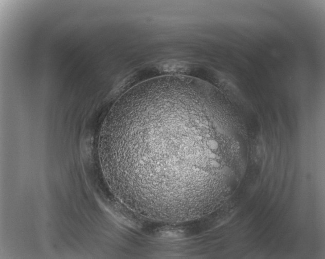 X0000080730263200612221300