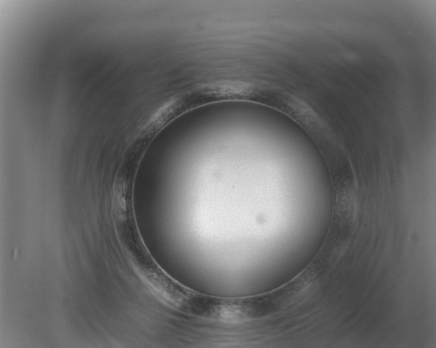 X0000080730264200612221300