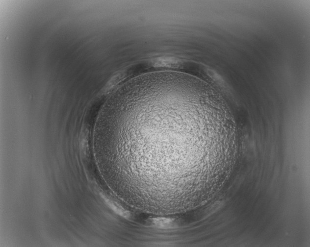 X0000080730265200612221300