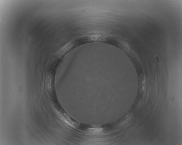 X0000080730266200612221300