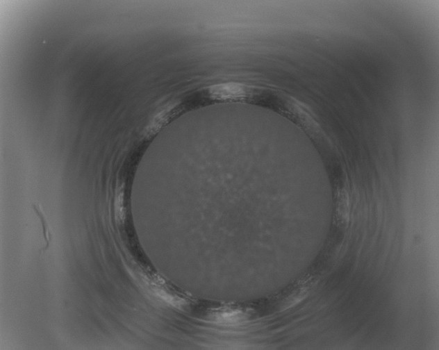 X0000080730267200612221300