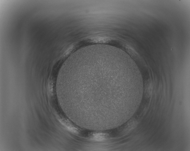 X0000080730268200612221300