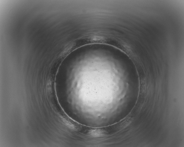 X0000080730269200612221300