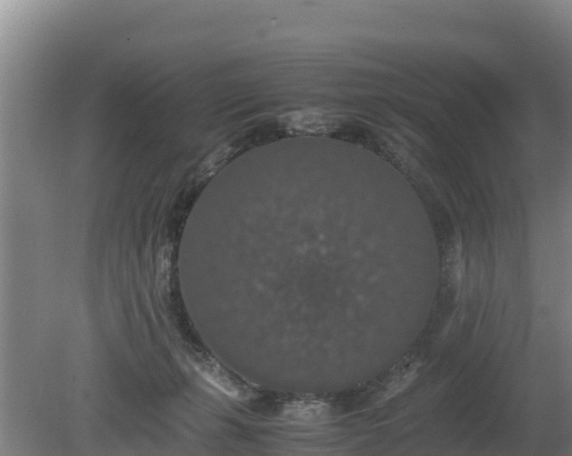 X0000080730271200612221300