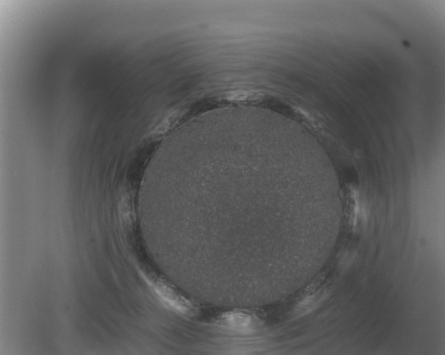 X0000080730272200612221300